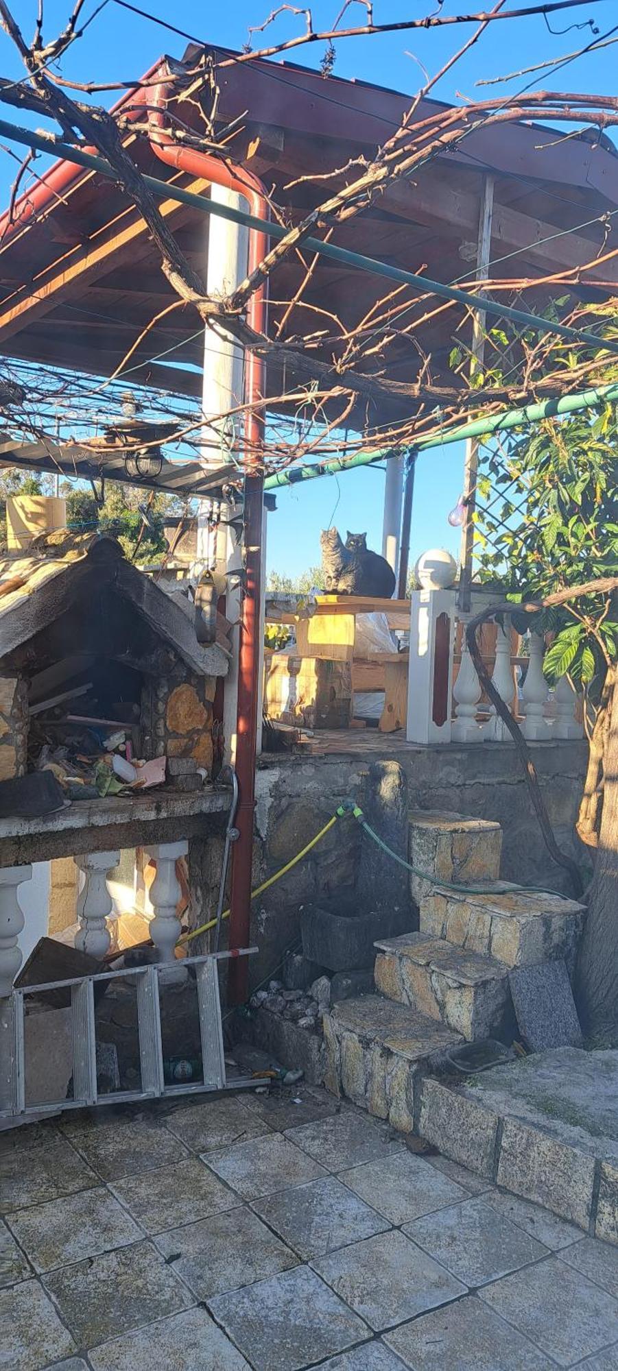 Apartmani Ana-Lora Lopar Esterno foto